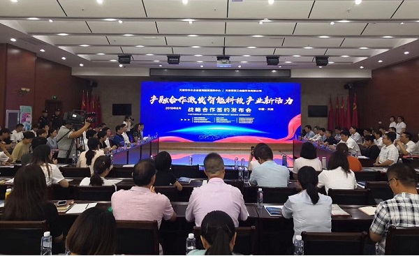 开云体育-开云(中国)一站式服务官方网站科技喜获千万级担保授信